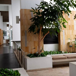 Icon (D2), Apartment #445471741